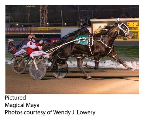 batavia bets|batavia downs bets.